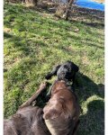 IMG_6834.jpeg IMG_6834.jpeg