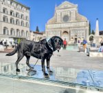 IMG_0147.jpeg