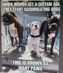 1777352583755.png