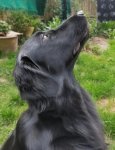 IMG20260502104349~3.jpg