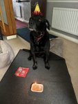 IMG_0101.jpeg