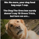 1780380499207.png