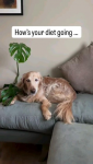 1780983204345.png