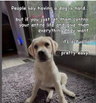 1781146276815.png