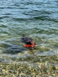 IMG_9771.jpeg