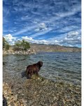IMG_9779.jpeg