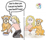 1781586687981.png