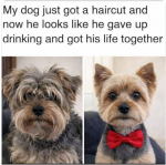 1782372384328.png