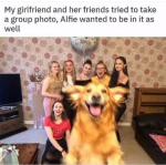 1782372535232.png