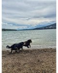 IMG_0186.jpeg