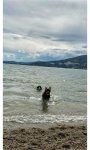 IMG_0185.jpeg