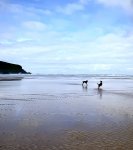 IMG_4051.jpeg