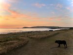 IMG_4403.jpeg