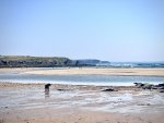 IMG_4430.jpeg