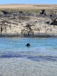 IMG_4446.jpeg