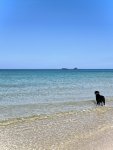 IMG_4466.jpeg