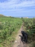 IMG_4768.jpeg