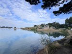IMG_4701.jpeg