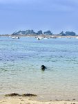 IMG_4646.jpeg