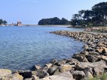 IMG_4799.jpeg