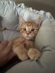 IMG_0844.jpeg