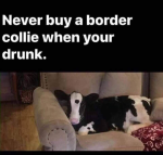 1787110923530.png