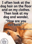 1787544857838.png