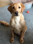 IMG-20190208-WA0006.jpg