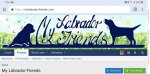 Screenshot_20190307-075430_Chrome.jpg