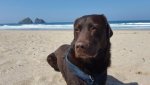 IMG-20170503-WA0003.jpg