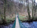 Stara Woods 012.JPG