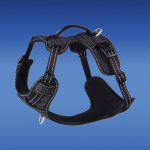 Explore-Harness-Glory.jpg