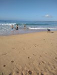IMG_20190420_084028615.jpg