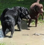 20160616_150510-1-1~2.jpg