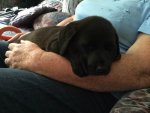 file 13-02-2017, 14 05 35.jpeg