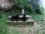 GOPR0857.JPG GOPR0857.JPG