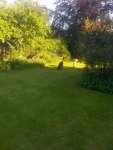 IMG_20190523_190052.jpg