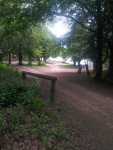 IMG_20190527_105658.jpg