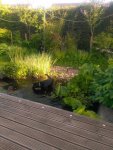 IMG_20190531_185321.jpg