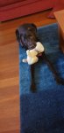 20190603_172947.jpg