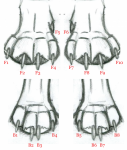 feet.png