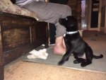 IMG-20170701-WA0006.jpg