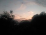 IMG_20190615_214055.jpg