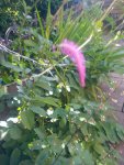 IMG_20190627_172307.jpg
