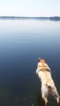 20190704_111553.jpg