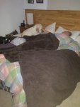 IMG_20190711_055958261.jpg