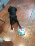 IMG_20190711_170240.jpg