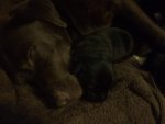FB_IMG_1563555217603.jpg