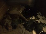 FB_IMG_1563555194116.jpg