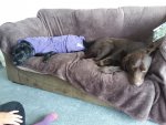 20190610_154620.jpg